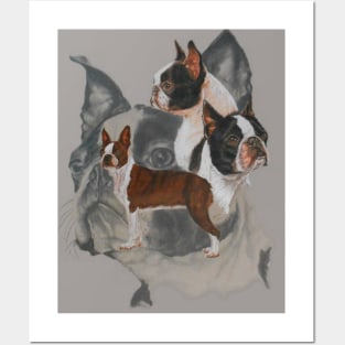 Boston Terrier Medley Posters and Art